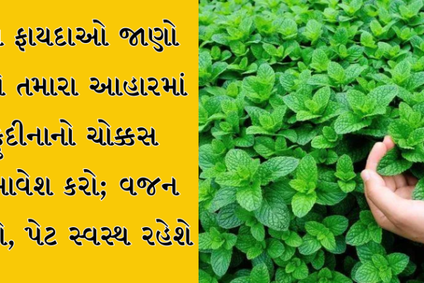 આ ફાયદાઓ જાણો અને તમારા આહારમાં ફુદીનાનો ચોક્કસ સમાવેશ કરો; વજન ઘટશે, પેટ સ્વસ્થ રહેશે